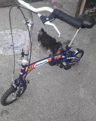bici pieghevole Honda repsol