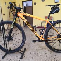 mtb29 