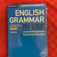 english grammar in use