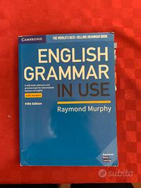 english grammar in use