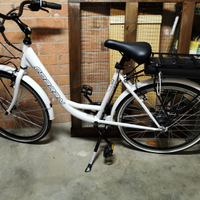 Bicicletta elettrica
