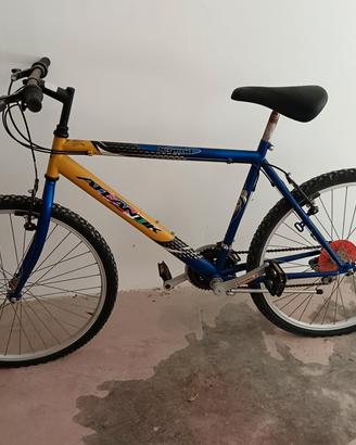 Bici Mountain bike uomo