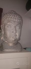 buda grigio 