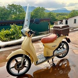 Motorino Scarabeo 50 Omologato Per Scarabeo 50 Motore Piaggio