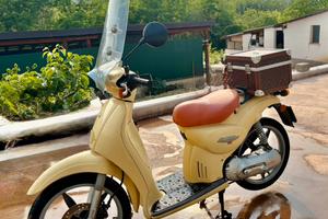 Scarabeo 50 beige omologato per 2