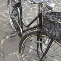 Bici da donna