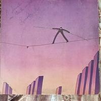 vinile Riccardo Cocciante Anima autografato