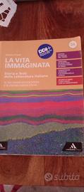 la vita immaginata 3a e 3b 