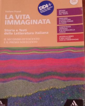 la vita immaginata 3a e 3b 