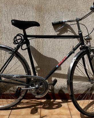 Bici da uomo passport