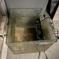 Acquario Marino/dolce