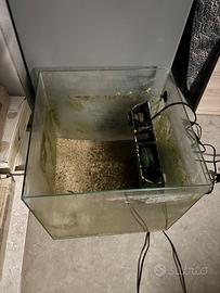 Acquario Marino/dolce