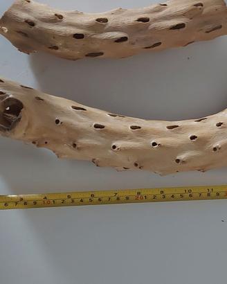 Driftwood