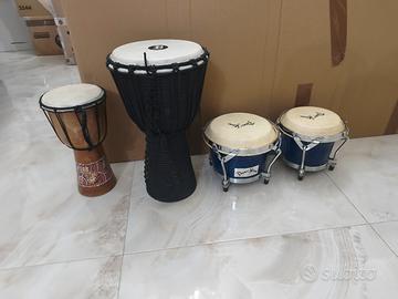 bongo