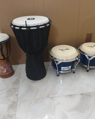 bongo