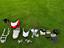 Immagine 1
