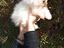 Immagine 6