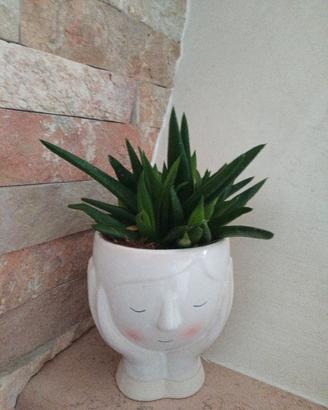 piante