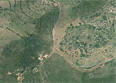 Terreno in Via Torrente s.n.c