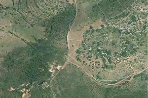 Terreno in Via Torrente s.n.c