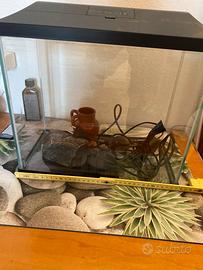 Acquario lampada e ricircolo Acqua