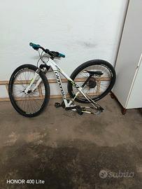 cannoddale trail 4 29