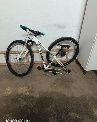 cannoddale trail 4       29