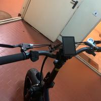 Bicicletta elettrica