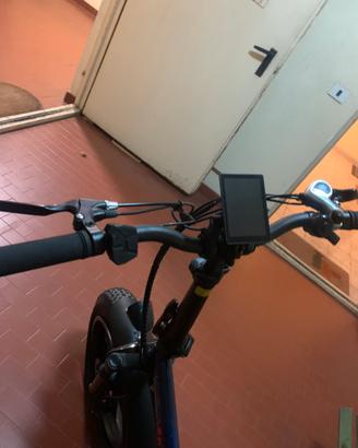 Bicicletta elettrica