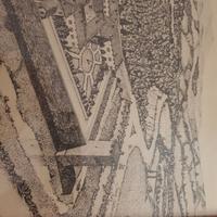 Stampa originale di Vignola