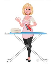Stiratrice professionale