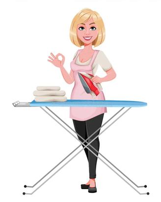 Stiratrice professionale