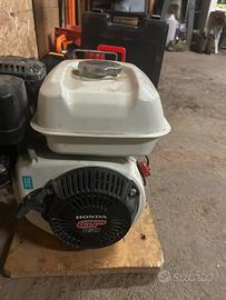 Motopompa trattamento antiparassitario