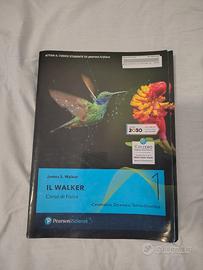 Il Walker 1 Cinematica,dinamica,Termodinamica