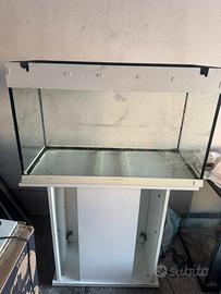 Acquario 100lt