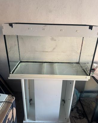 Acquario 100lt