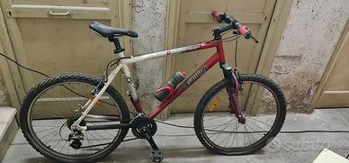 Mountain bike è una Decathlon Rockrider