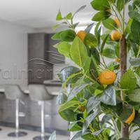 Casa vacanza nuova e di lusso a torre pali a 150 m