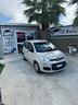 fiat-panda-1-2-easy