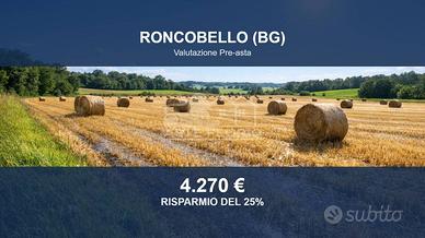 Immobile in asta di 697 m² a Roncobello