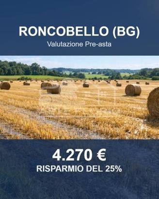 Immobile in asta di 697 m² a Roncobello