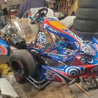 go kart 125 energy 2017 con motore tm kz10