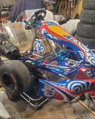 go kart 125 energy 2017 con motore tm kz10