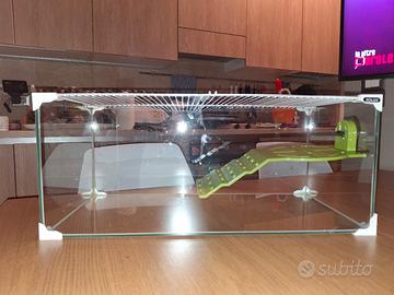 Tartarughiera in vetro