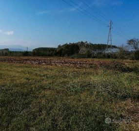 Credito garantito 1 grado a Cassino ( Frosinone)