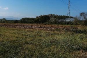 Credito garantito 1 grado a Cassino ( Frosinone)