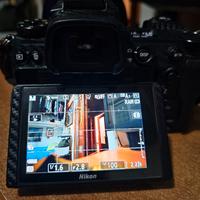 Nikon Z6ii Nital 