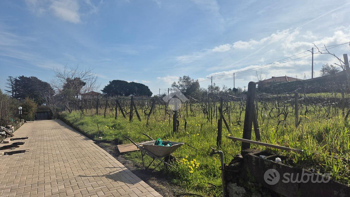 TER. AGRICOLO A PIEDIMONTE ETNEO - Vista 5