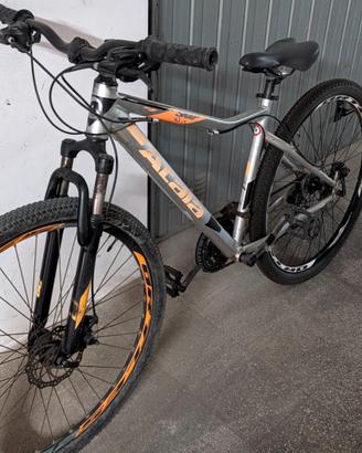 Mountain bike