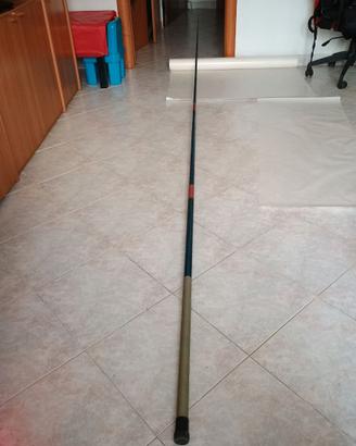 Canna da pesca Daiwa fissa
